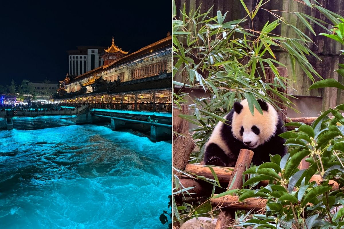 都江堰與熊貓基地